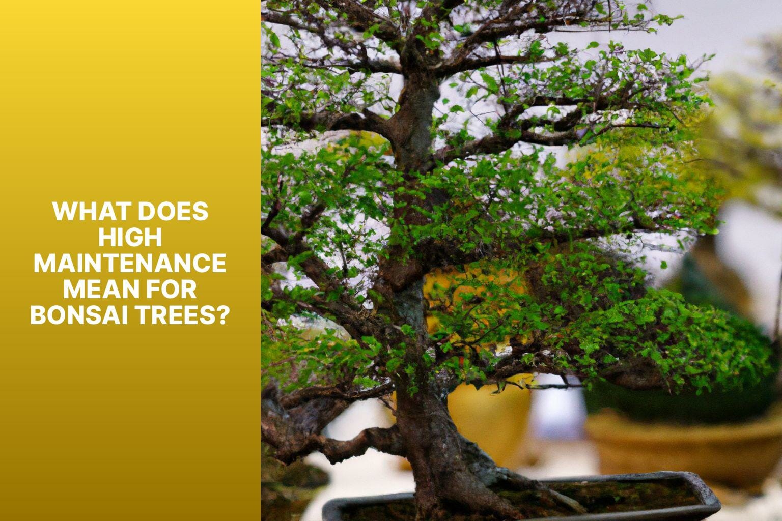What Does High Maintenance Mean for Bonsai Trees? - are bonsai trees high maintenance 