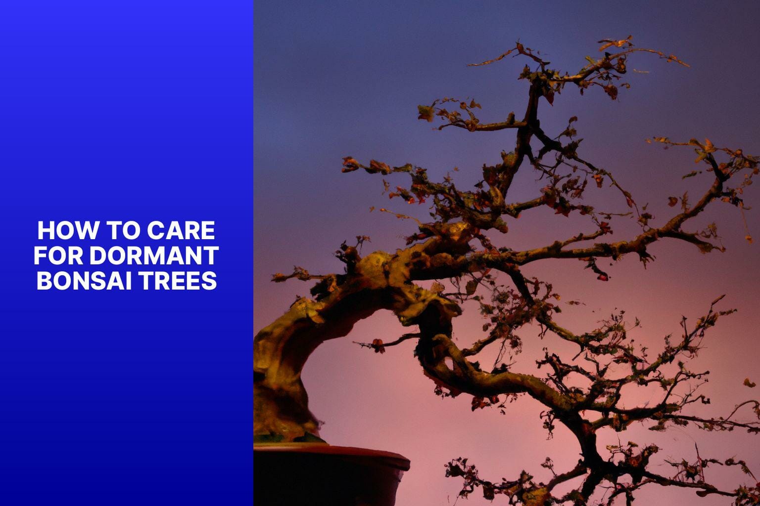 How to Care for Dormant Bonsai Trees - do bonsai trees go dormant 