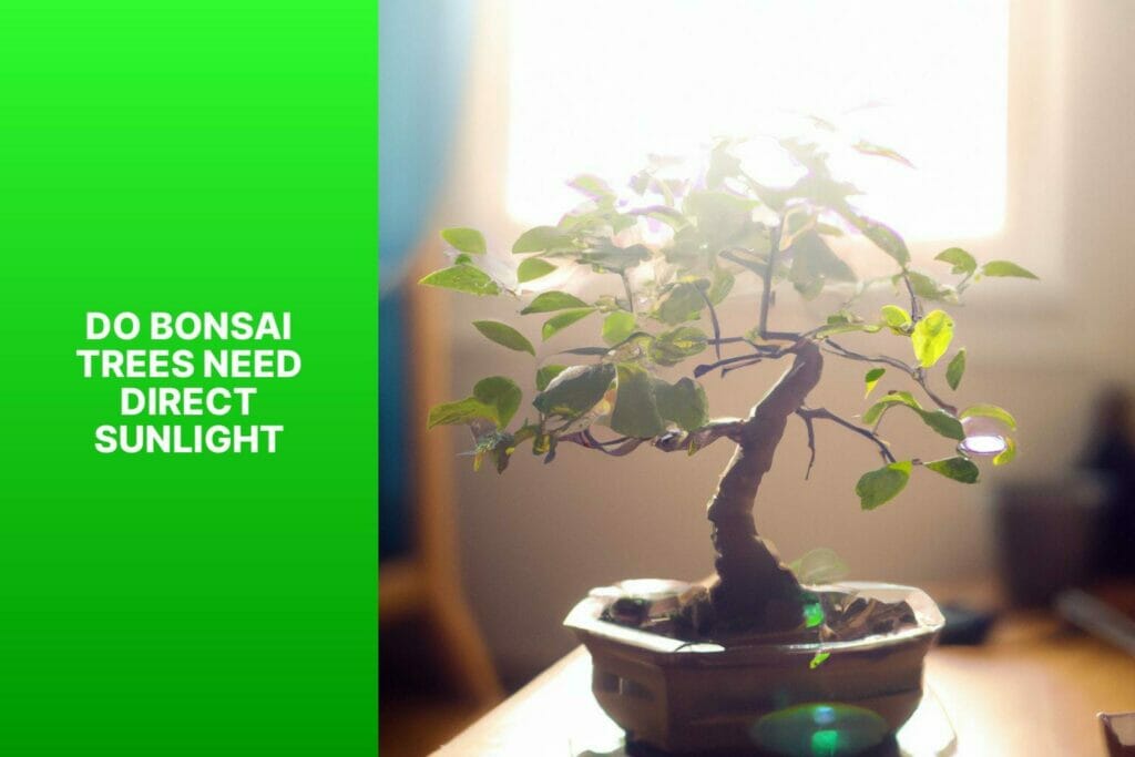 Bonsai trees' light requirements: Do they need direct sunlight?
