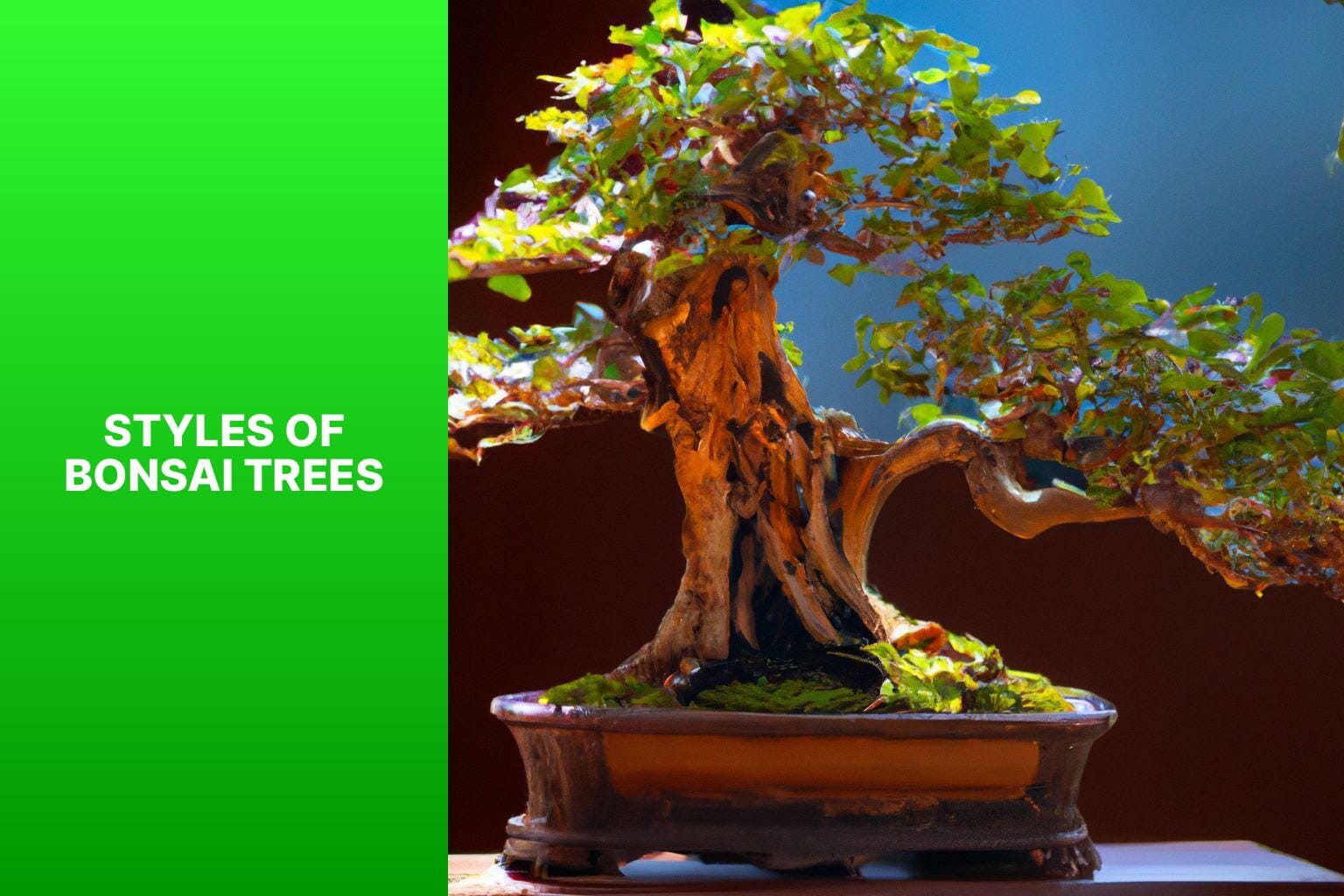 Styles of Bonsai Trees - how bonsai trees are made 