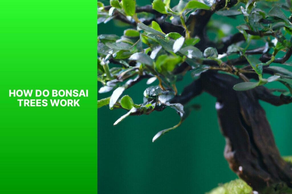 Exploring the Art of Bonsai: How do bonsai trees work?