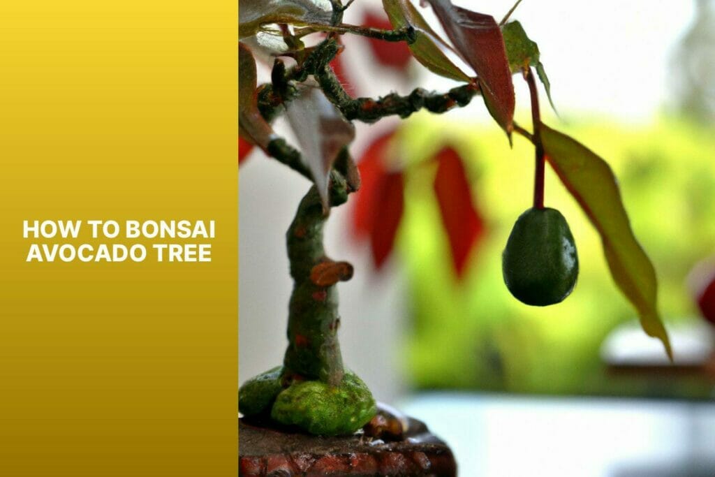 Guide: Bonsai Avocado Tree.
