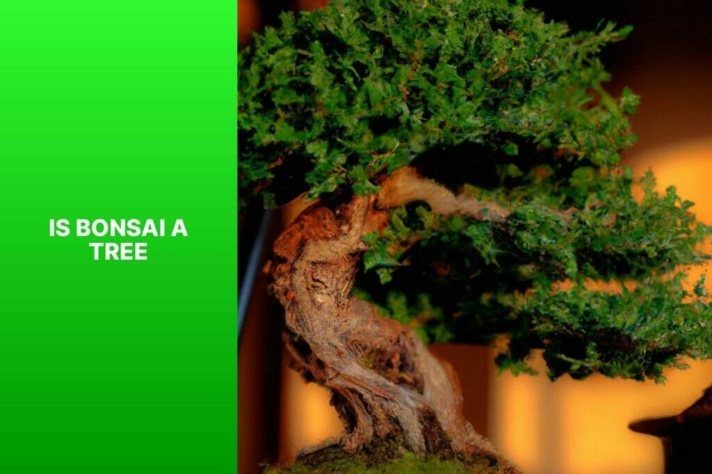 Is bonsai a tree?