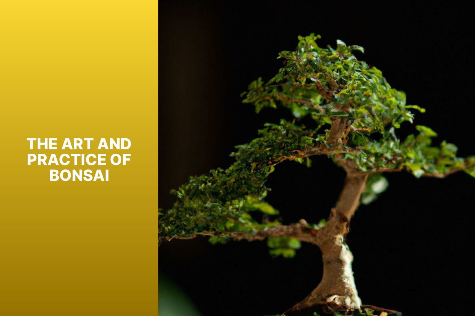 The Art and Practice of Bonsai - what does bonsai tree mean 