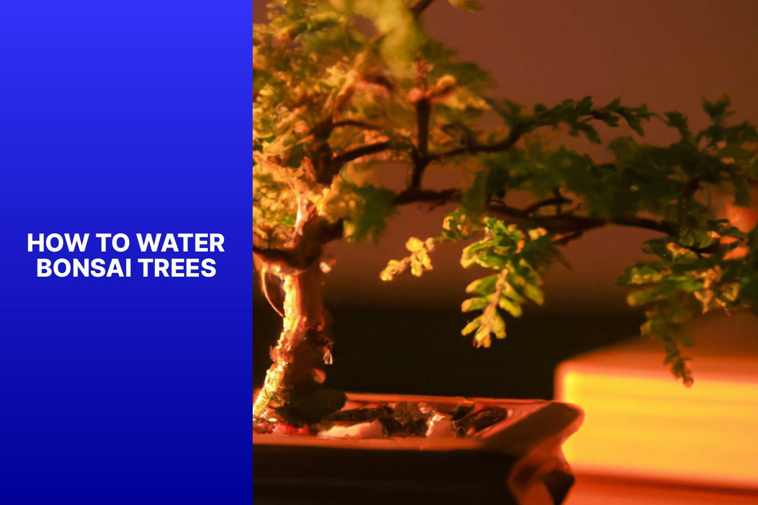 How to Water Bonsai Trees - when to water bonsai tree 