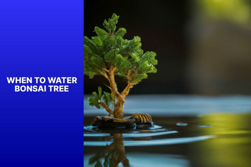 When to water a bonsai tree: Comprehensive Guide